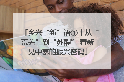 乡兴“新”语①丨从“荒芜”到“苏醒” 看新晃中寨的振兴密码