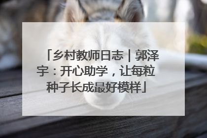 乡村教师日志｜郭泽宇：开心助学，让每粒种子长成最好模样