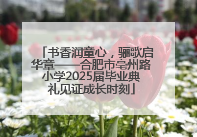 书香润童心，骊歌启华章——合肥市亳州路小学2025届毕业典礼见证成长时刻