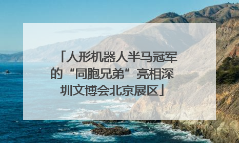 人形机器人半马冠军的“同胞兄弟”亮相深圳文博会北京展区