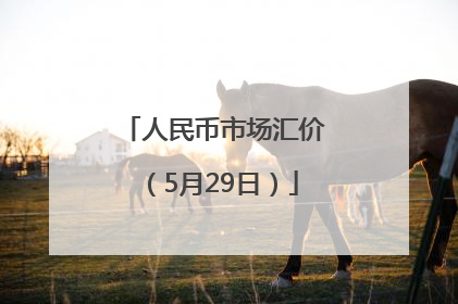 人民币市场汇价（5月29日）