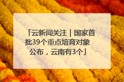 云新闻关注｜国家首批39个重点培育对象公布，云南有3个