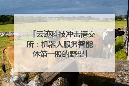 云迹科技冲击港交所：机器人服务智能体第一股的野望