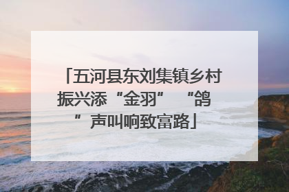 五河县东刘集镇乡村振兴添“金羽” “鸽”声叫响致富路