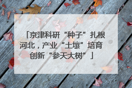 京津科研“种子”扎根河北，产业“土壤”培育创新“参天大树”