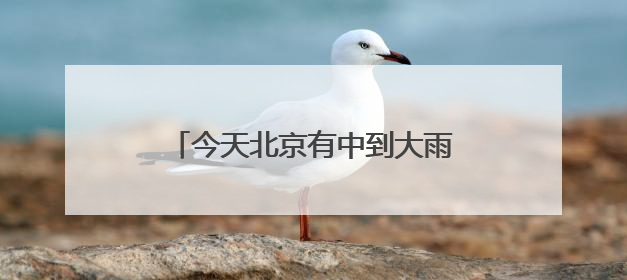 今天北京有中到大雨 明后两天风力较强