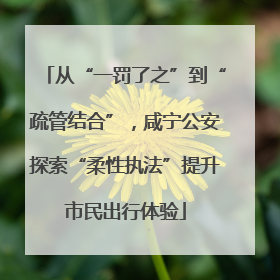 从“一罚了之”到“疏管结合”，咸宁公安探索“柔性执法”提升市民出行体验