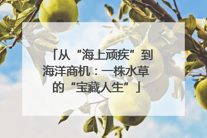 从“海上顽疾”到海洋商机：一株水草的“宝藏人生”