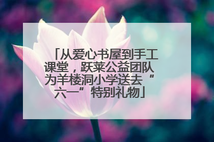 从爱心书屋到手工课堂，跃莱公益团队为羊楼洞小学送去“六一”特别礼物