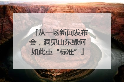从一场新闻发布会，洞见山东缘何如此重“标准”