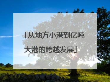 从地方小港到亿吨大港的跨越发展