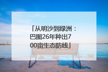 从明沙到绿洲：巴图26年种出700亩生态防线