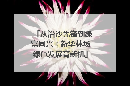 从治沙先锋到绿富同兴：新华林场绿色发展育新机