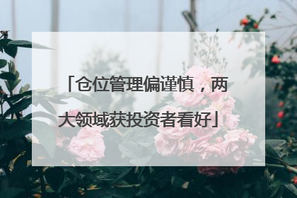 仓位管理偏谨慎，两大领域获投资者看好