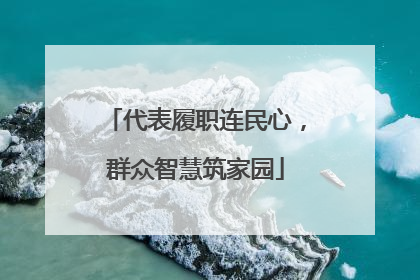 代表履职连民心，群众智慧筑家园