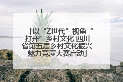 以“Z世代”视角“打开”乡村文化 四川省第五届乡村文化振兴魅力竞演大赛启动