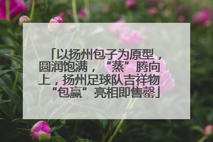 以扬州包子为原型，圆润饱满，“蒸”腾向上，扬州足球队吉祥物“包赢”亮相即售罄