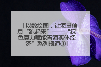 以数绘图，让海量信息“跑起来”——“绿色算力赋能青海实体经济”系列报道①