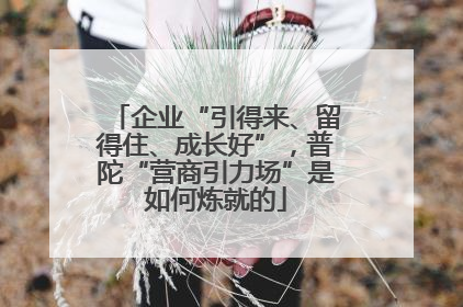 企业“引得来、留得住、成长好”，普陀“营商引力场”是如何炼就的