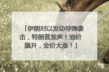 伊朗对以发动导弹袭击，特朗普发声！油价飙升，金价大涨！