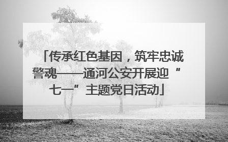 传承红色基因，筑牢忠诚警魂——通河公安开展迎“七一”主题党日活动