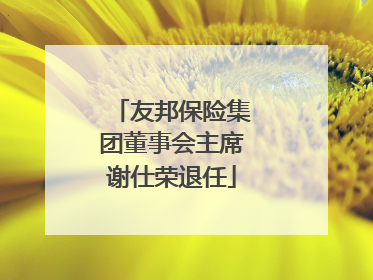 友邦保险集团董事会主席谢仕荣退任