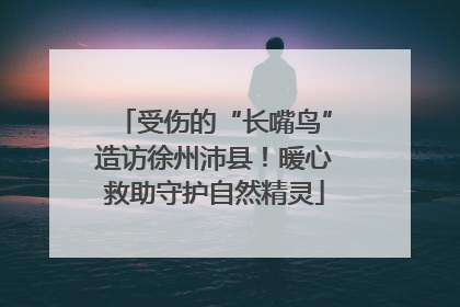 受伤的“长嘴鸟”造访徐州沛县！暖心救助守护自然精灵