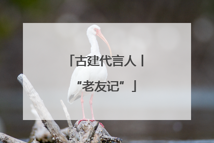 古建代言人丨“老友记”