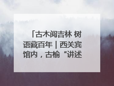 古木阅吉林 树语藏百年｜西关宾馆内，古榆“讲述”时光絮语