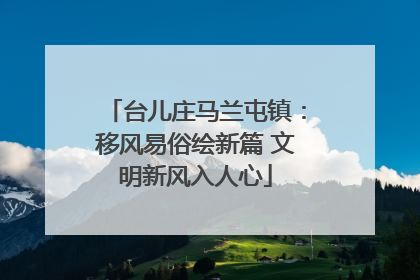 台儿庄马兰屯镇：移风易俗绘新篇 文明新风入人心