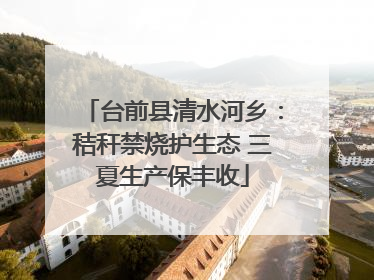 台前县清水河乡：秸秆禁烧护生态 三夏生产保丰收