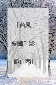 台风“蝴蝶”影响广西