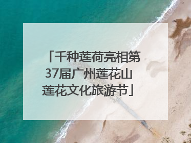 千种莲荷亮相第37届广州莲花山莲花文化旅游节