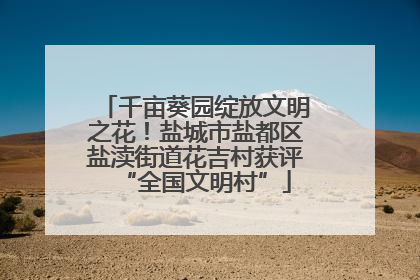 千亩葵园绽放文明之花！盐城市盐都区盐渎街道花吉村获评“全国文明村”
