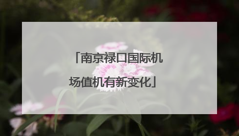 南京禄口国际机场值机有新变化