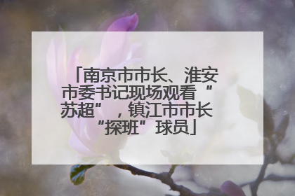 南京市市长、淮安市委书记现场观看“苏超”，镇江市市长“探班”球员