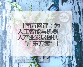 南方网评：为人工智能与机器人产业发展提供“广东方案”