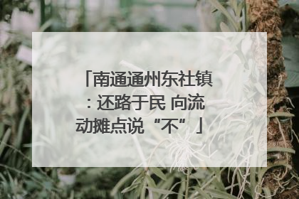 南通通州东社镇：还路于民 向流动摊点说“不”