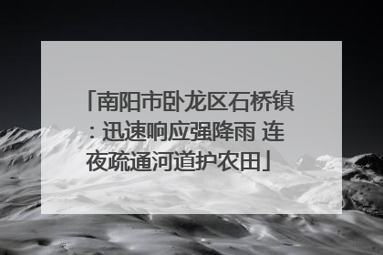 南阳市卧龙区石桥镇：迅速响应强降雨 连夜疏通河道护农田
