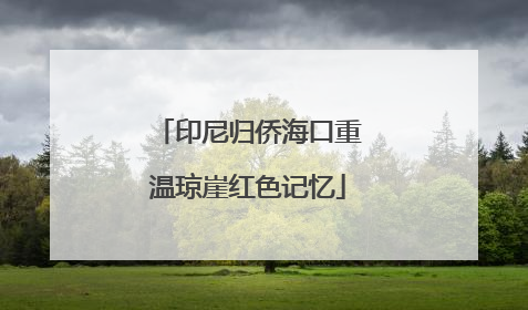 印尼归侨海口重温琼崖红色记忆