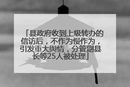 县政府收到上级转办的信访后，不作为慢作为，引发重大舆情，分管副县长等25人被处理