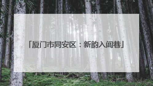 厦门市同安区：新韵入闾巷
