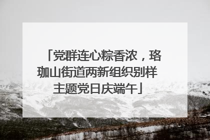 党群连心粽香浓，珞珈山街道两新组织别样主题党日庆端午