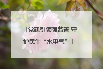 党建引领强监管 守护民生“水电气”