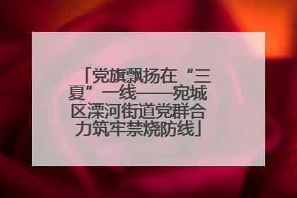 党旗飘扬在“三夏”一线——宛城区溧河街道党群合力筑牢禁烧防线