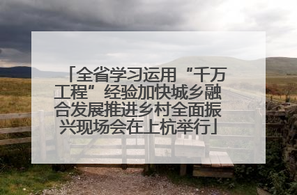 全省学习运用“千万工程”经验加快城乡融合发展推进乡村全面振兴现场会在上杭举行
