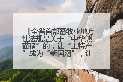 全省首部畜牧业地方性法规是关于“中华熊猫猪”的，让“土特产”成为“新国潮”，让“农产品”升格为“城市IP”