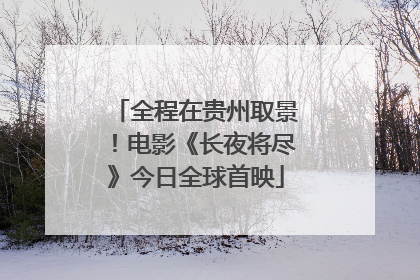 全程在贵州取景！电影《长夜将尽》今日全球首映