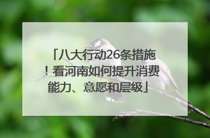 八大行动26条措施！看河南如何提升消费能力、意愿和层级