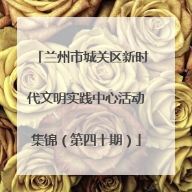 兰州市城关区新时代文明实践中心活动集锦（第四十期）